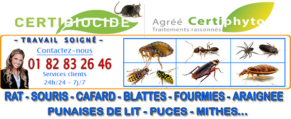 Puces Auteuil 60390